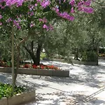 Maslina דירה טרוגיר