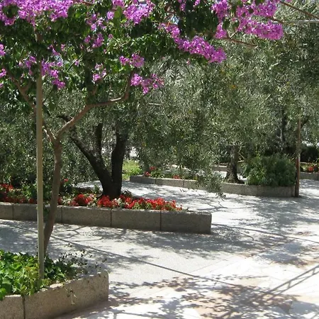 Maslina Apartment Trogir