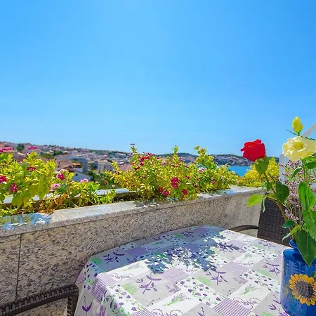 Maslina Trogir