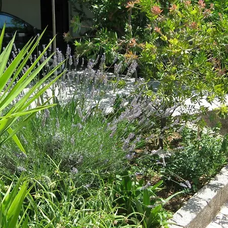 Apartment Maslina Trogir
