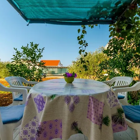 Maslina Apartament *