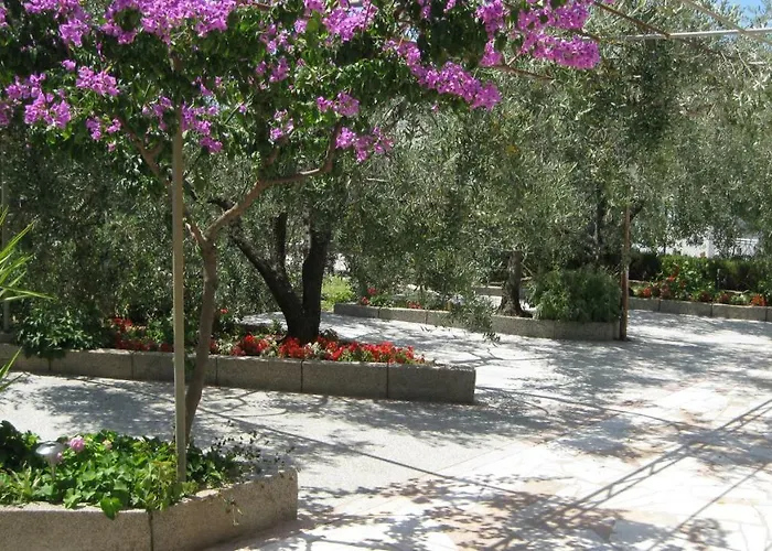 Maslina 公寓 特罗吉尔