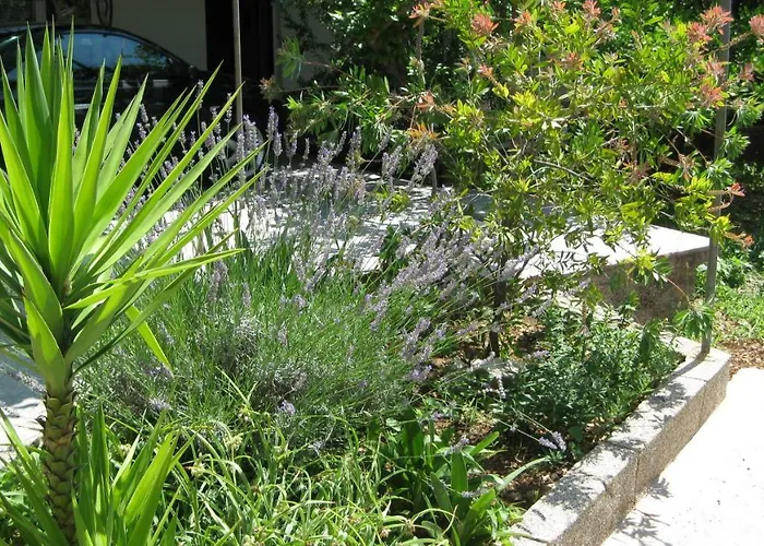 公寓 Maslina 特罗吉尔