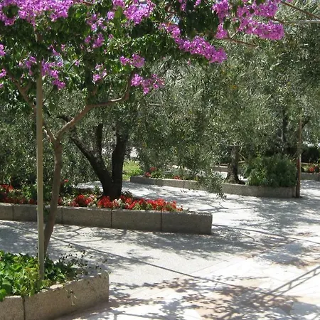 Maslina Apartment Trogir